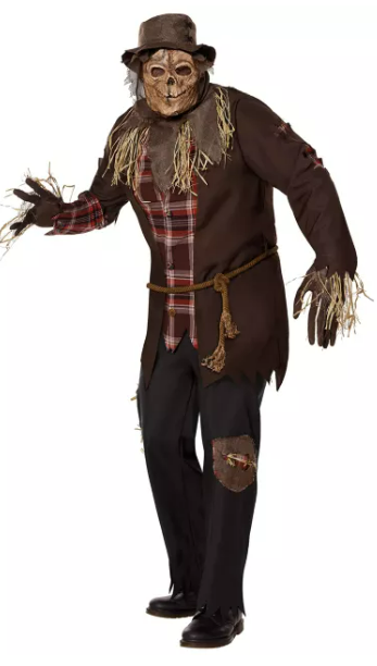 Scarecrow costume